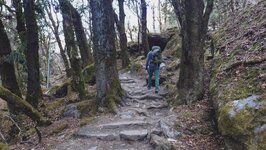 20260319_083642924.JPG 20260319_083642924.JPG