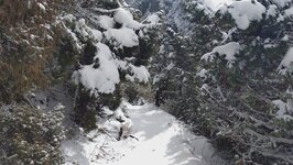 20260324_083211999.JPG 20260324_083211999.JPG