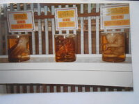 DSCN8488.JPG