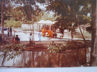 DSCN8484.JPG