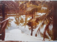 DSCN8485.JPG