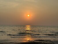 IMG_7902.jpeg IMG_7902.jpeg