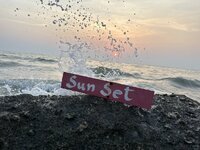 IMG_7969.jpeg IMG_7969.jpeg