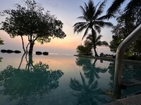 IMG_7995.jpeg IMG_7995.jpeg