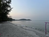 IMG_8041.jpeg IMG_8041.jpeg