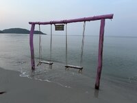 IMG_8043.jpeg IMG_8043.jpeg