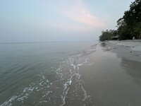 IMG_8047.jpeg IMG_8047.jpeg