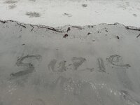 IMG_8050.jpeg IMG_8050.jpeg