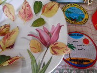 DSCN9544.JPG