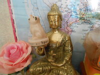 DSCN9193.JPG