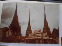 DSCN8495.JPG
