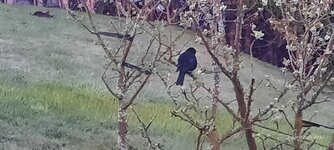 20260407_064752.jpg