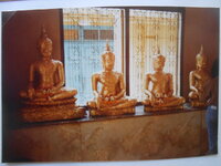 DSCN8501.JPG