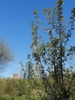 IMG_20260408_112734~2.jpg