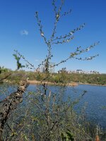 IMG_20260408_112322.jpg