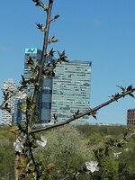 IMG_20260408_112345.jpg