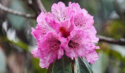 DSC03523.jpg