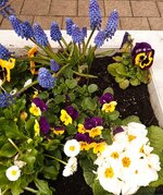 IMG_20260331_125636_085~2.jpg