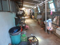 DSCN6805.JPG DSCN6805.JPG