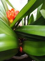 IMG_20260328_131715_355.jpg