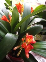 IMG_20260328_131618_743.jpg