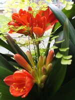 IMG_20260328_131532_488.jpg