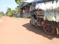 DSCN6720.JPG DSCN6720.JPG