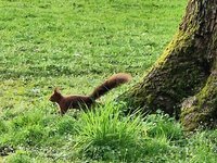 20260409_083319.jpg