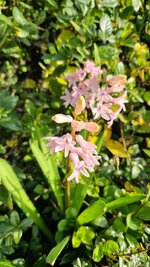 20260309_095224.jpg
