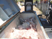 DSCN6714.JPG DSCN6714.JPG