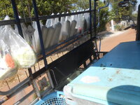DSCN6716.JPG DSCN6716.JPG