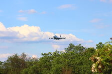 Duitsland-Frankfurt ''Flughafen-Wamos Air Boeing 747'' (1).JPG