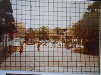 DSCN8513.JPG