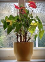 IMG_20260412_182508.jpg