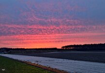 IMG_20260412_205949.jpg