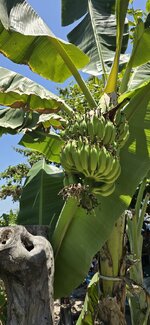 20260412_122824.jpg 20260412_122824.jpg