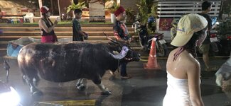 20260412_210500.jpg 20260412_210500.jpg