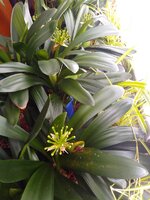 IMG_20260410_113941_598.jpg