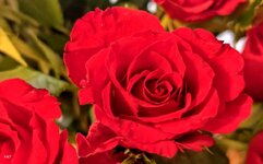 IMG_20260413_144350.jpg