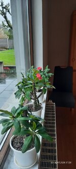 20260413_172039.jpg
