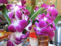 DSCN6693.JPG