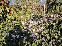 IMG_20260414_191122.jpg