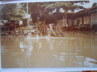 DSCN8535.JPG