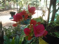DSCN8294~2.JPG