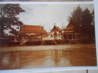 DSCN8542.JPG