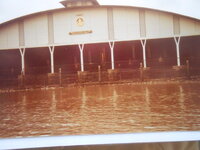 DSCN8547.JPG