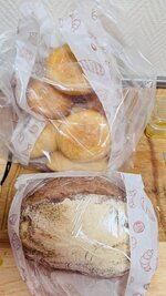 IMG_9041.jpeg