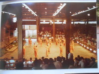 DSCN8550.JPG