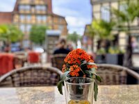 IMG_20260418_121621.jpg