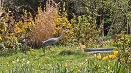 IMG_20260418_152716.jpg